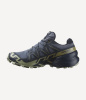 Кроссовки SPEEDCROSS 6 GTX (RU 45.5 UK 11.5 USm 12 СМ 29.5; grisaille/carbon/tea)